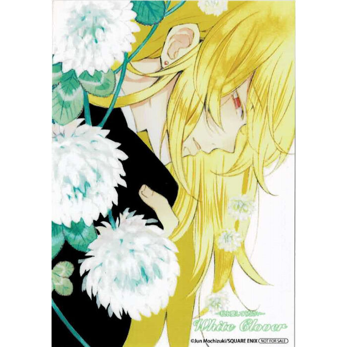 パンドラハーツ　缶バッジ　ブレイク　シャロン　 おまけ付　花言葉ブロマイド　オズ 望月淳『PandoraHearts』 花言葉 ブロマイド ヴィンセント | K-BOOKS
