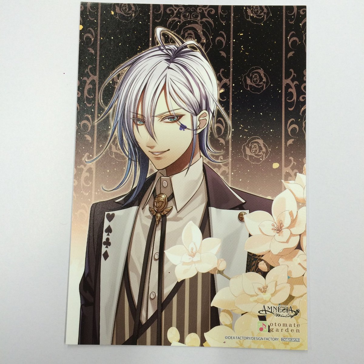 AMNESIA イッキ ポストカード | K-BOOKS 池袋 2次元グッズ通販