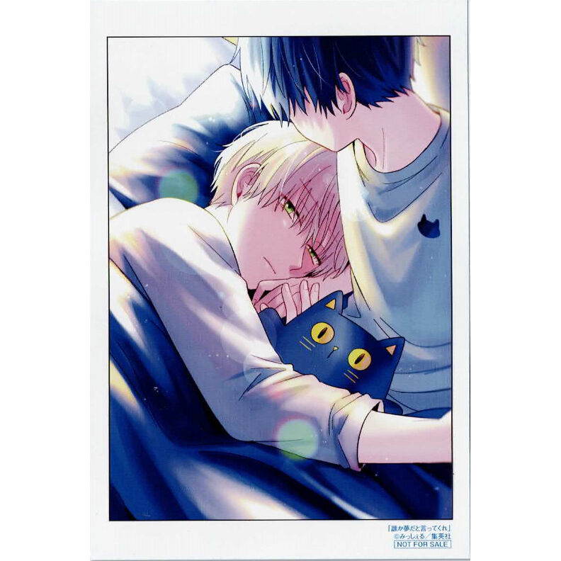 みっしぇる 『誰か夢だと言ってくれ』2巻 とらのあな特典 両面イラスト