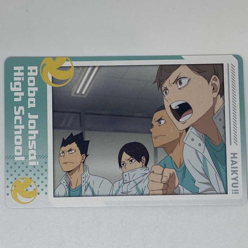 ハイキュー!! 及川徹 岩泉一 金田一勇太郎 国見英 青城 まとめ売り