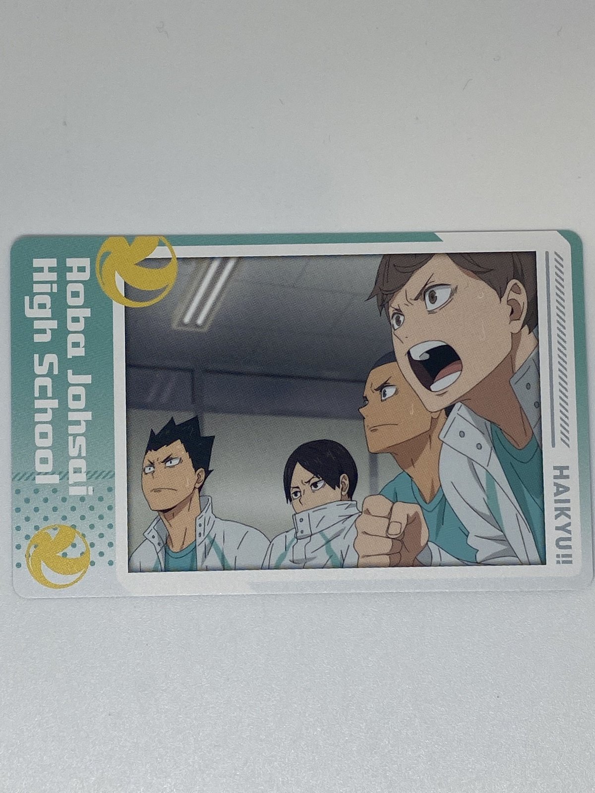 ハイキュー!! 金田一 勇太郎・国見 英・渡 親治・矢巾 秀 ハイキュー