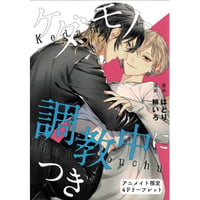 はとり 緋いろ『ケダモノ、調教中につき』　アニメイト特典　リーフレット【BLグッズ】