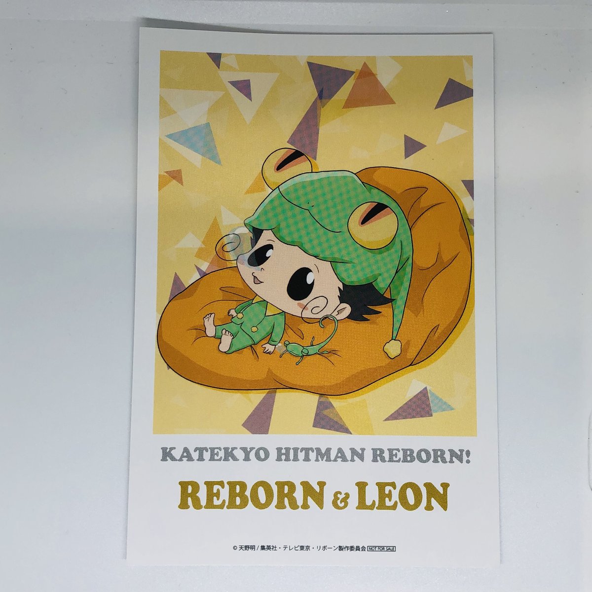 家庭教師ヒットマンREBORN! リボーン ポストカード | K-BOOKS 池袋 2