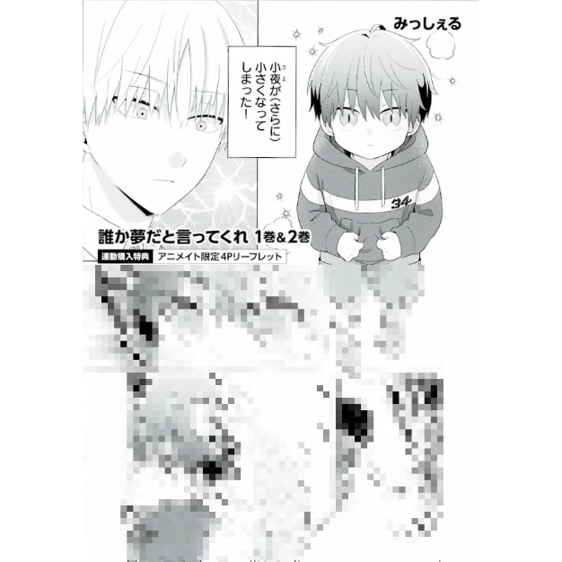 みっしぇる　誰か夢だと言ってくれ　特典セット　リーフレット　コミコミスタジオ みっしぇる 『誰か夢だと言ってくれ』1・2巻 アニメイト連動購入特典
