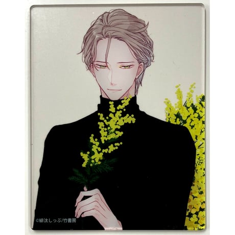 CATEGORY 緋汰しっぷ | K-BOOKS 池袋 2次元グッズ通販