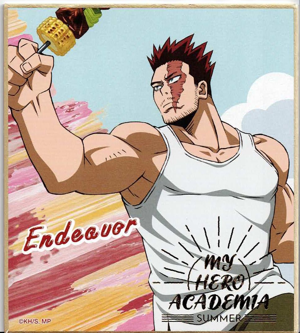 僕のヒーローアカデミア エンデヴァー 色紙コレクション 夏 | K-BOOKS