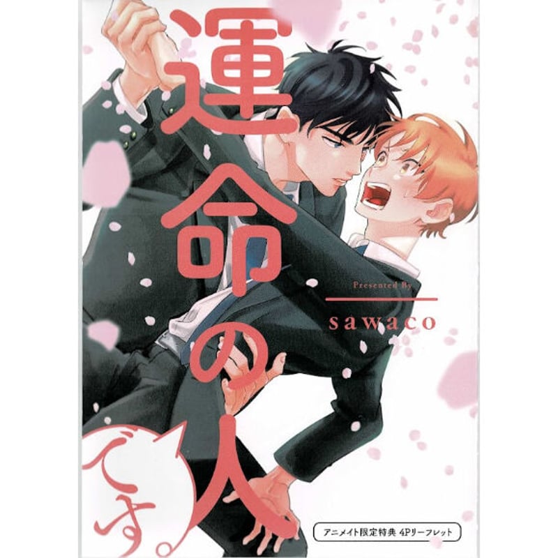 sawaco 『運命の人です。』 アニメイト特典 リーフレット【BLグッズ