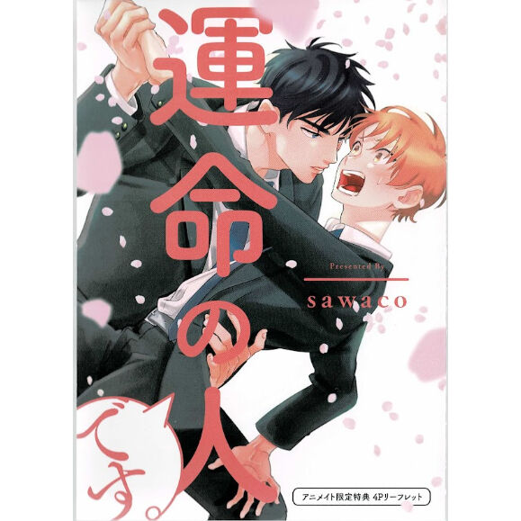 アニメイト限定4Pリーフレット・送料込 sawaco 『運命の人です。』 アニメイト特典 リーフレット【BLグッズ