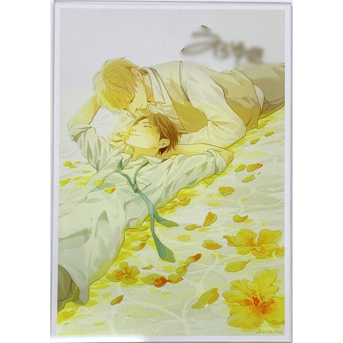 ひだまりが聴こえる 直筆サイン入り A4 アクリルプレート 文乃ゆき