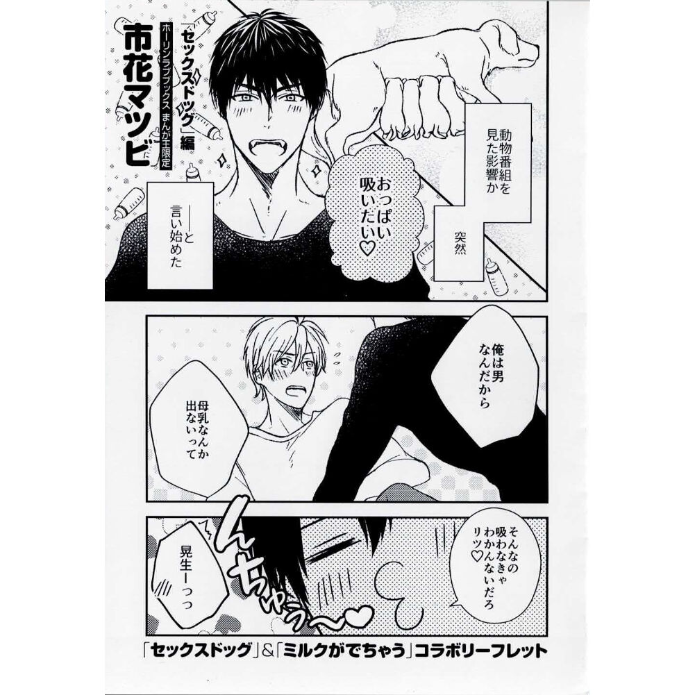 天霧真世 セックス 市花マツビ『セックスドッグ』『ミルクがでちゃう』 コラボ リーフレット 【BLグッズ】 | K...