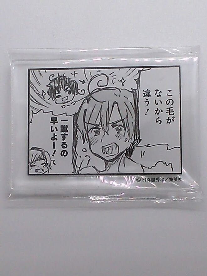 ヘタリア ロマーノ アニメイトカフェ コマ型 アクリルバッジ この毛が