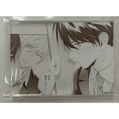 ナカまであいして 特典 フィルム風カード 百瀬あん ナカまであいして - 百瀬あん先生 描き下ろしイラスト 常盤&楪