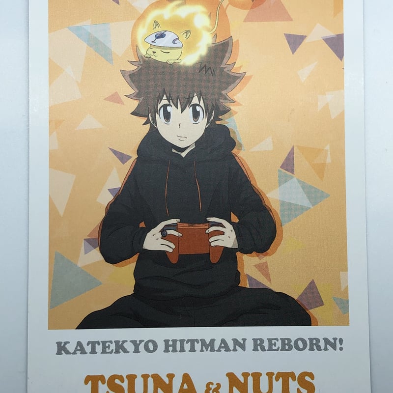 リボアニ ポストカード 沢田綱吉(ツナ)、専用封筒 リボアニ ポストカード 沢田綱吉(ツナ)、雲雀恭弥、封筒 家庭教師