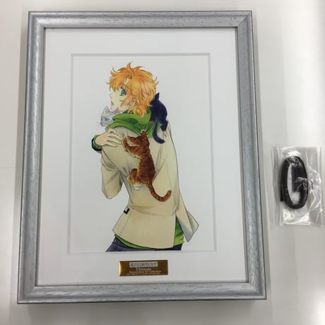 麻地・桐紋・陣幕・3枚 【公式通販】