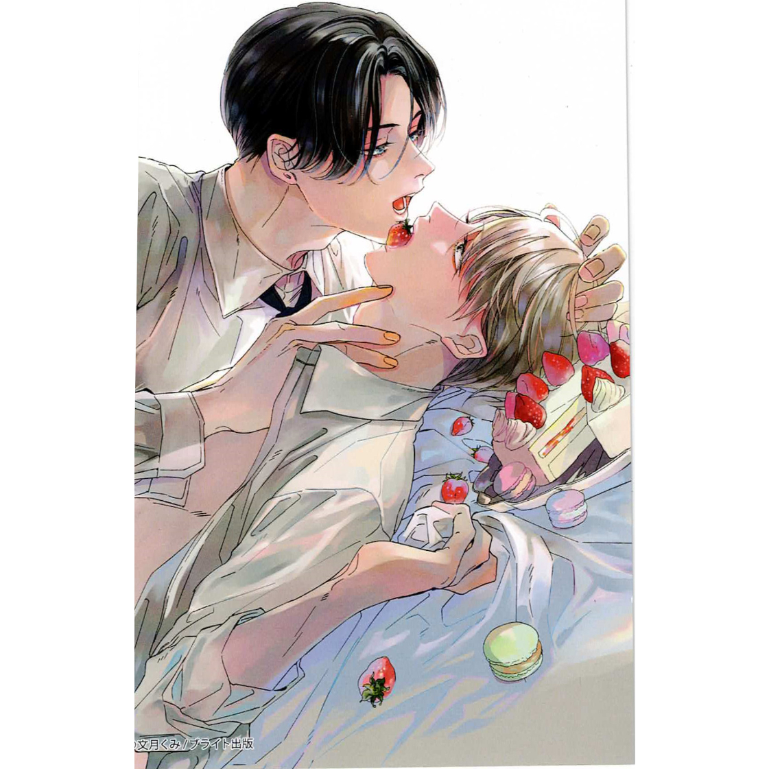 【舐めて、噛んで、キスをして】文月くみ 直筆サイン入り複製原画 文月くみ 『舐めて、噛んで、キスをして』Tulle Comics 5周年 記念