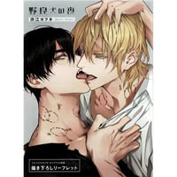 渋江ヨフネ  『野良犬の夜』 コミコミ　リーフレット 【BLグッズ】