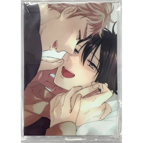 泉くれは　BL　12冊セット 泉くれは BL 12冊セット - メルカリ