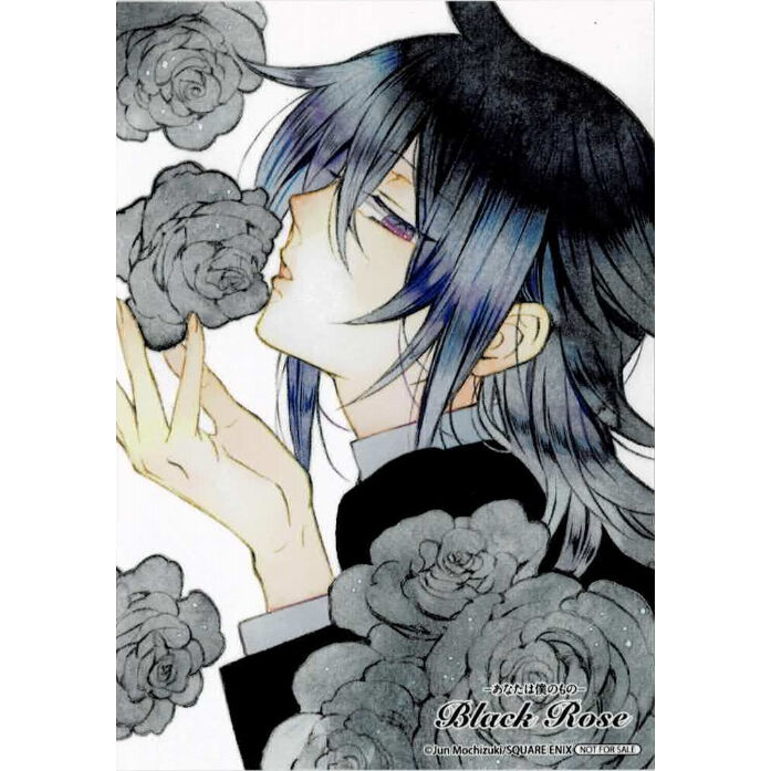 PandoraHearts アニメイト原画展　花言葉　ブロマイド 望月淳『PandoraHearts』 花言葉 ブロマイド リーオ | K-BOOKS