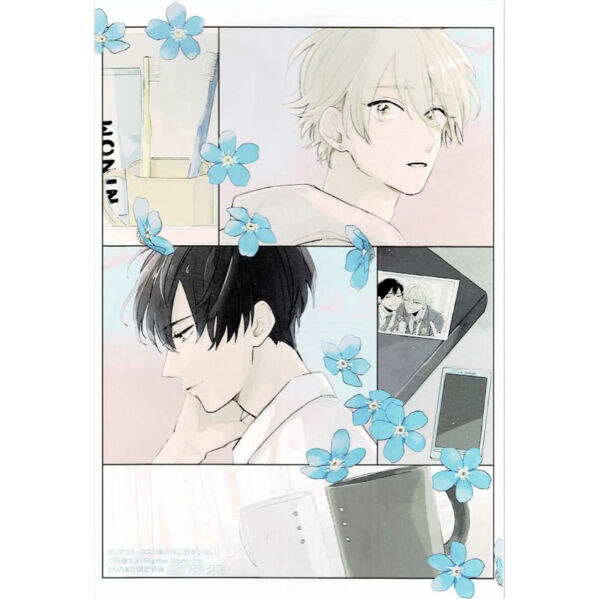 みだLove♪ 特典 とらのあな ポストカード イラストカード 円藤エヌ『僕の中に君がいない』 とらのあな特典 両面イラストカード