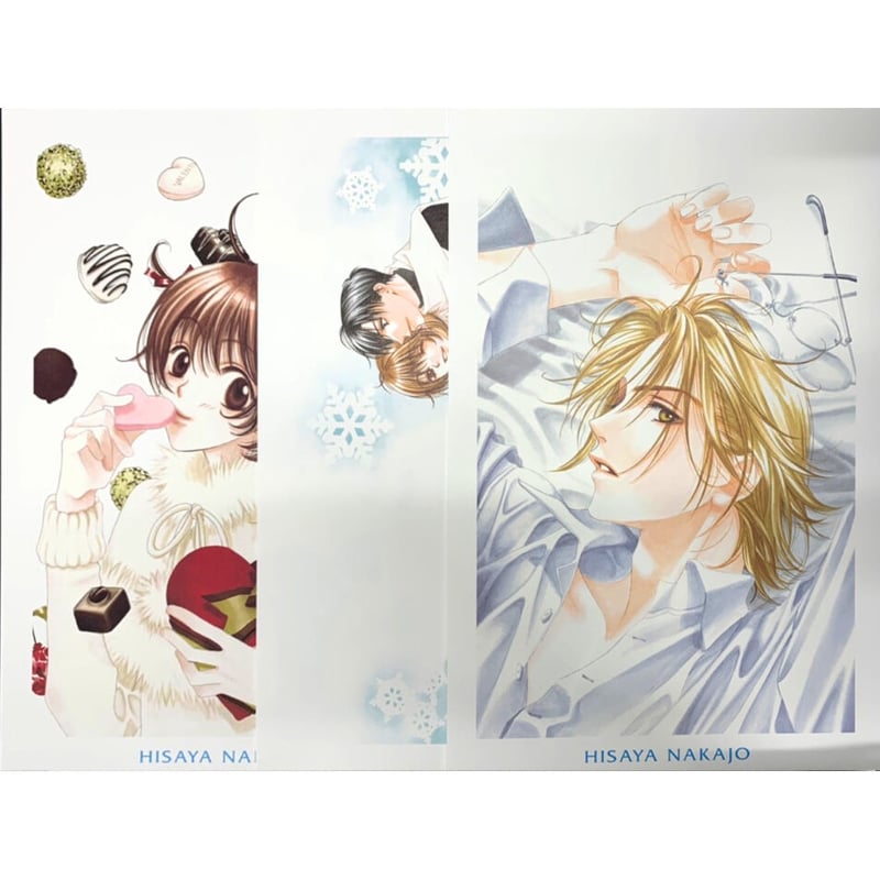 柴太郎さん専用 中条比紗也 全サ BEST SELECT ART COLLECTION | K-BOOKS