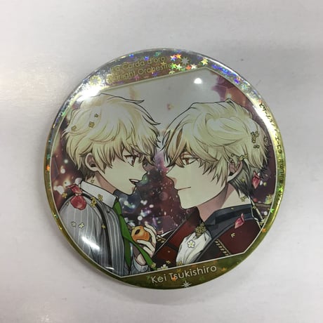 CATEGORY 金色のコルダ スターライトオーケストラ | K-BOOKS 池袋 2