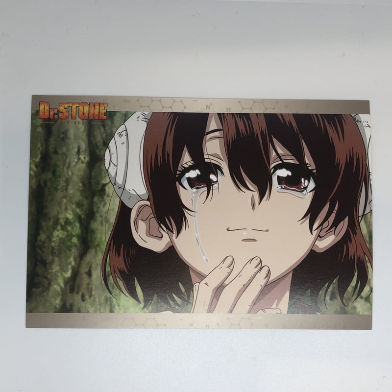 Dr.STONE 小川 杠 限定ポストカード | K-BOOKS 池袋 2次元グッズ通販