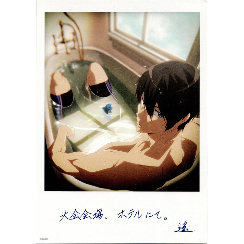 劇場版 Free! 限定特典 A5サイズ大判イラストカード 4枚セット＋応募券 劇場版 Free!RW ポストカードセット【Hopeful Future】【在庫品