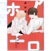 drap 25周年記念展 ぜんぶあげる 佐倉リコ 佐倉リコ 『ぜんぶあげる』 drap 25周年記念展 アニメイトオンリー