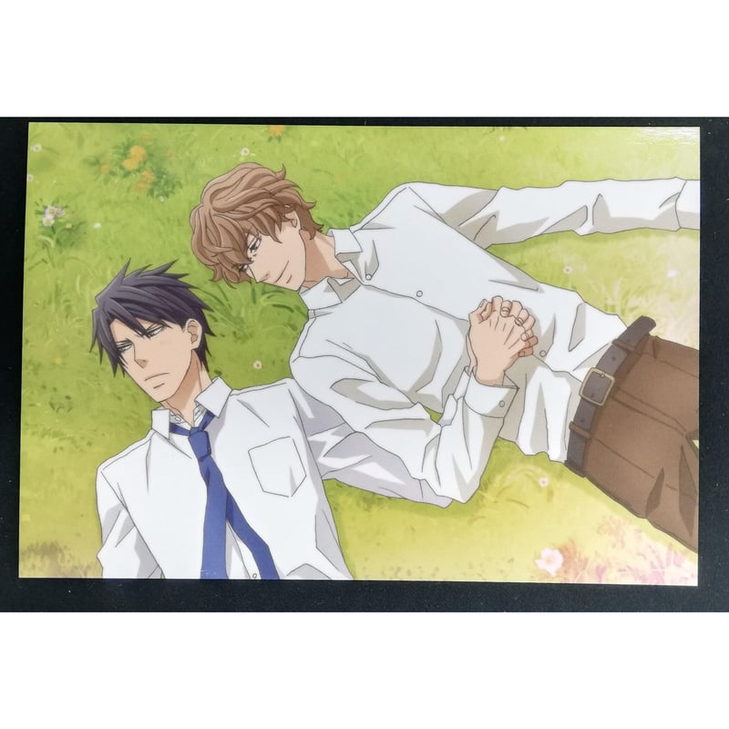中村春菊 『世界一初恋』来場者特典 イラストカード 横澤隆史 桐嶋禅