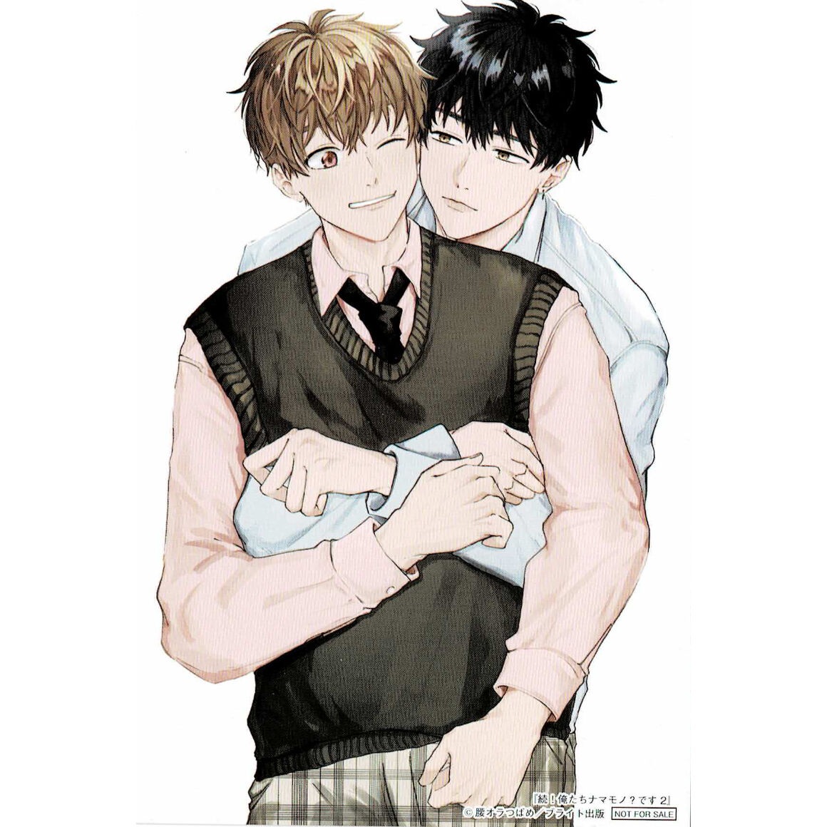 fit=scale-down,w=1200