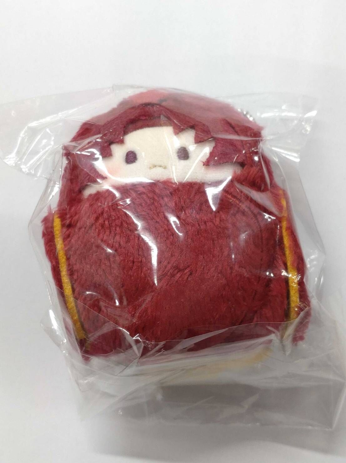 パラライ 朱雀野アレン たぴぬい fit=scale-down,w=1200