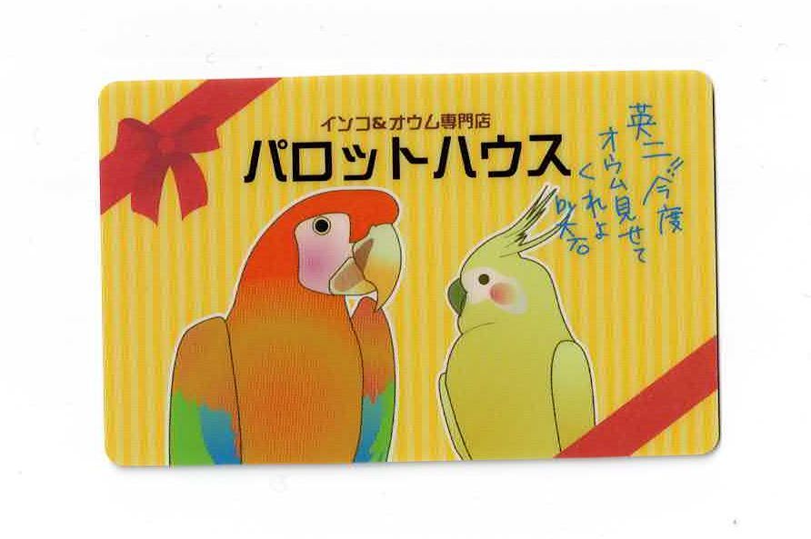 テニスの王子様 菊丸 英二 MIX&MATCH CARD | K-BOOKS 池袋 2次元