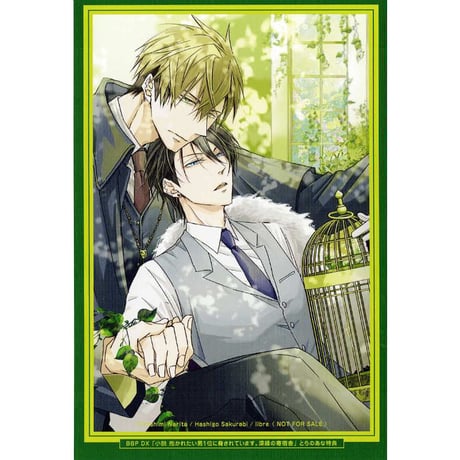 桜日梯子 『抱かれたい男1位に脅されています。』 深緑の寄宿舎　イラストカード【BLグッズ】