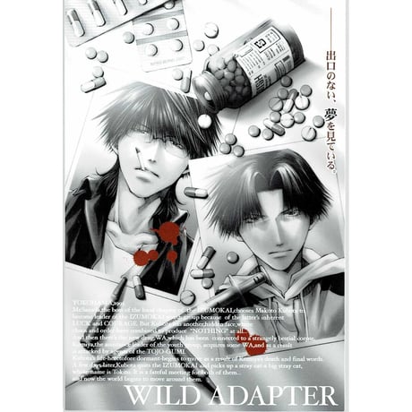 レア物！WILDADAPTER ワイルドアダプター ポスターセット-