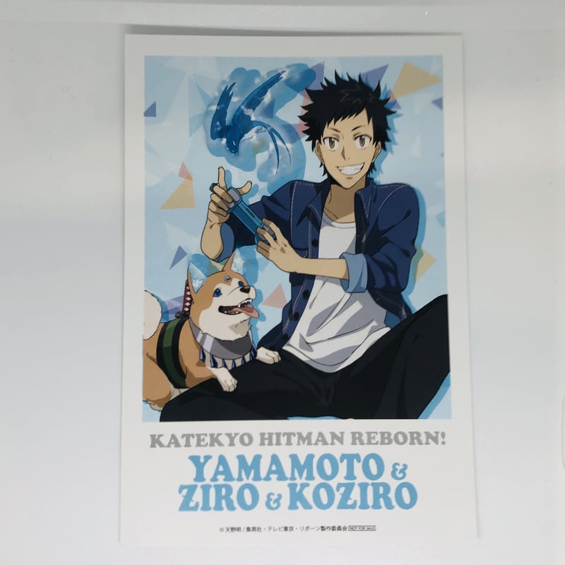 全国送料無料・イイ店 家庭教師ヒットマンREBORN!_描き下ろしイラスト