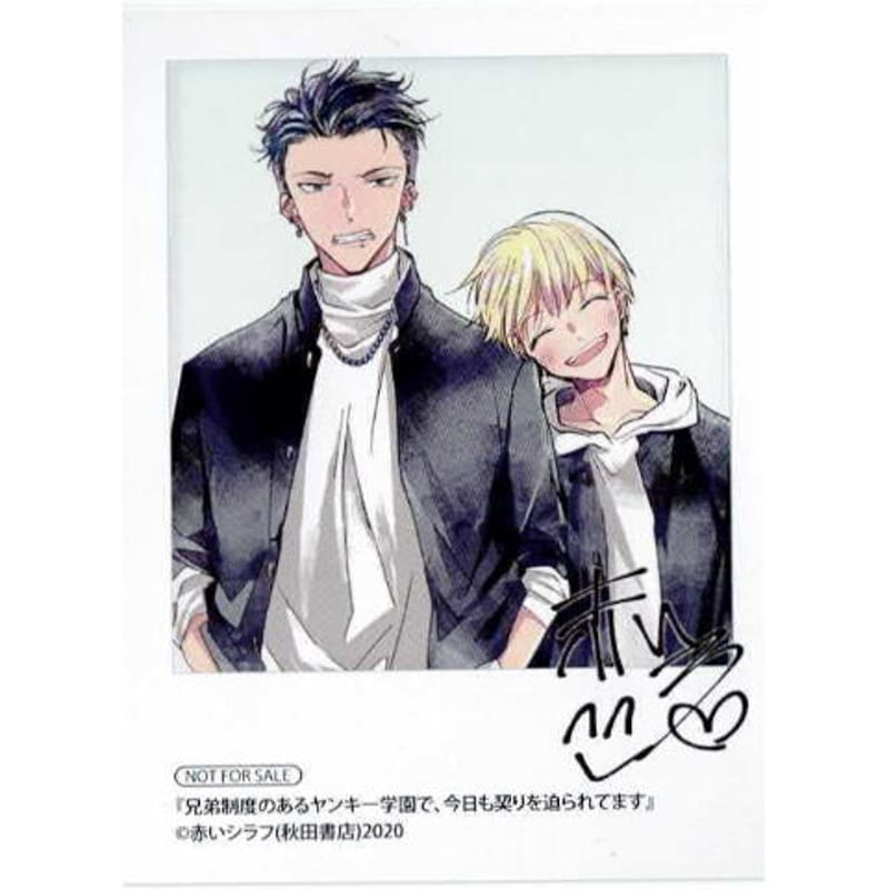 赤いシラフ 『兄弟制度のあるヤンキー学園で、今日も契りを迫られて