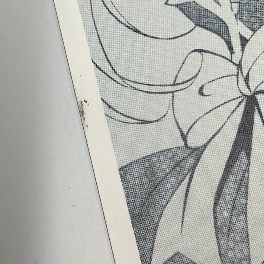 希少!! サイン会 特典 イラスト カード 6枚 天に恋う 望月桜 宙出版 望月けい on X: 