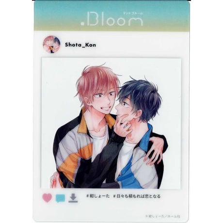 CATEGORY 紺しょーた | K-BOOKS 池袋 2次元グッズ通販
