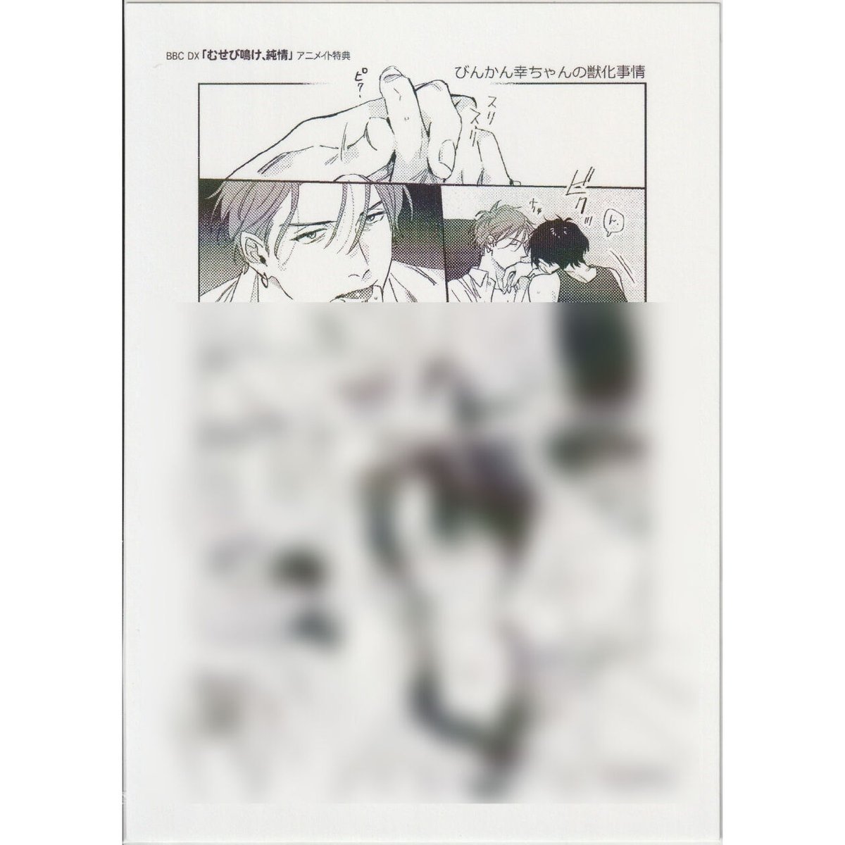 松基羊『むせび鳴け、純情』 アニメイト特典 ペーパー【BLグッズ】 | K