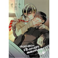 七生 　 夏野夕方　 『今日、不良を拾う』アニメイト　リーフレット【BLグッズ】