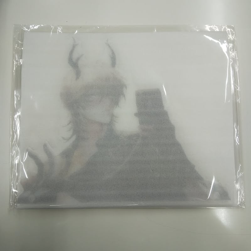 地獄のどこが悪い？ レヴィアタン アクリルボード | K-BOOKS 池袋 2