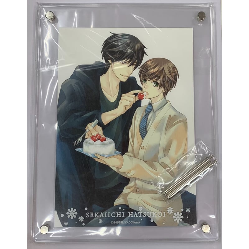 中村春菊 『世界一初恋』 イラスト入りアクリルボード【BLグッズ】 | K