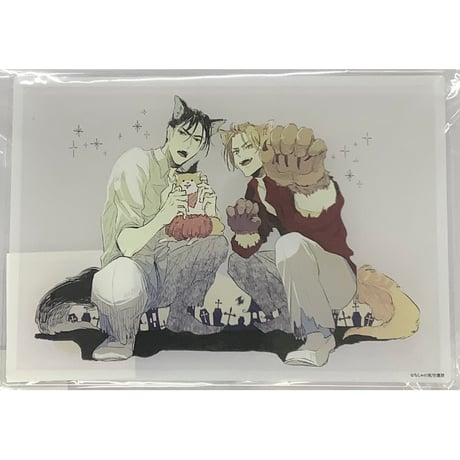ちしゃの実『俺達は新婚さんかもしれない』　eeo store　アクリルアートボード【BLグッズ】