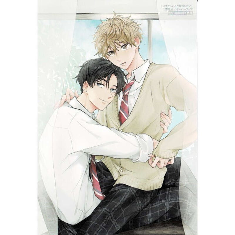 芥原圭『はずかしいこと我慢したい』 とらのあな特典 両面イラスト