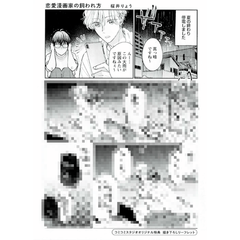 商業bl アニメイト　コミコミスタジオ　特典　リーフレット　漫画　bl コミック BL漫画 特典 小冊子 リーフレット - メルカリ