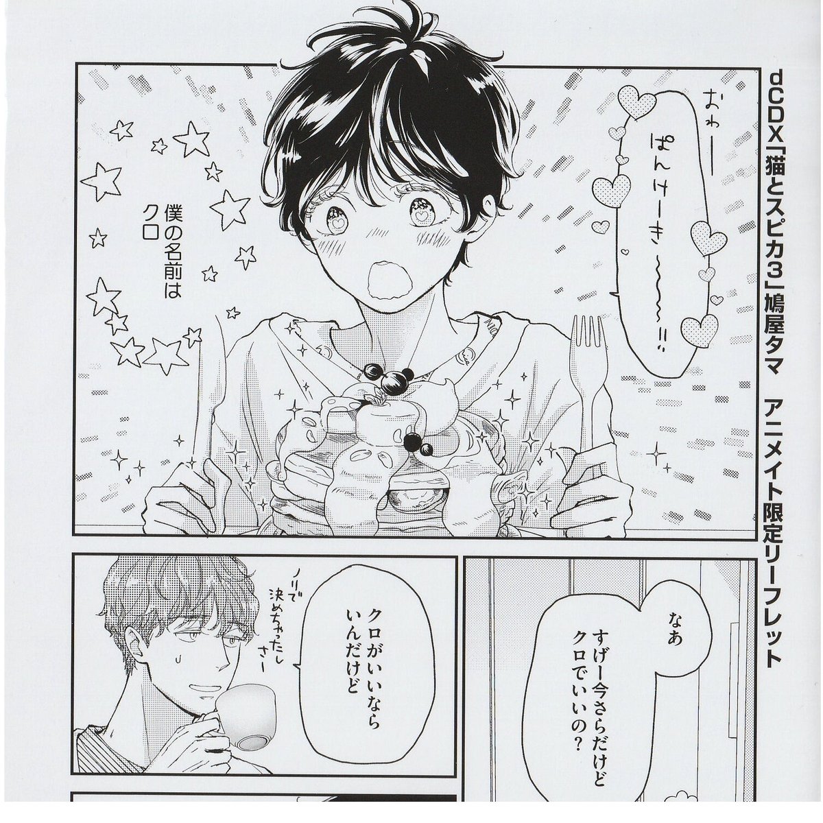 鳩屋タマ『猫とスピカ3』アニメイト リーフレット【BLグッズ
