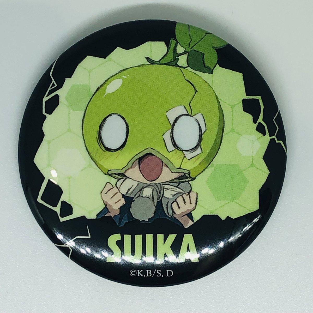 Dr.STONE ドクスト スイカ 缶バッジ 60点 fit=scale-down,w=1200