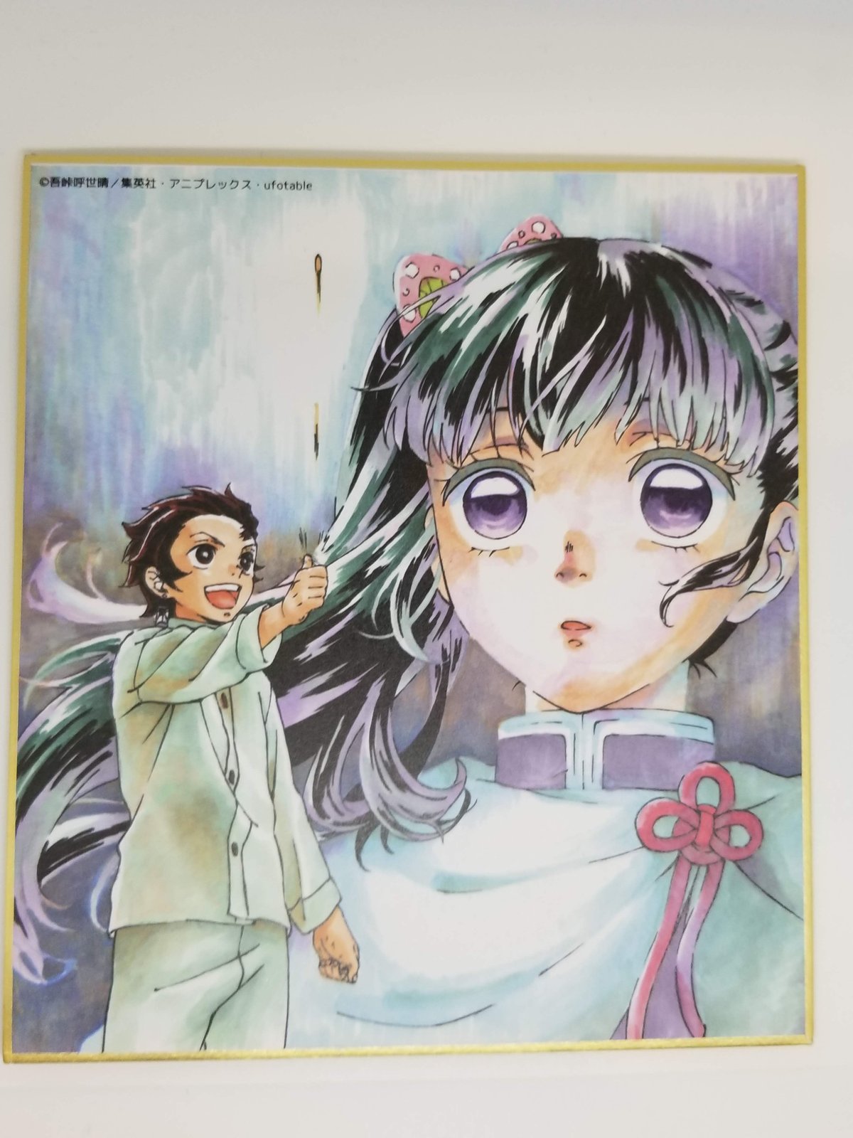 鬼滅の刃 竈門 炭治郎・栗花落 カナヲ 作画スタッフ全集中複製