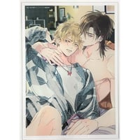 文月くみ 『舐めて、噛んで、キスをして』アニメイト リーフレット【BL
