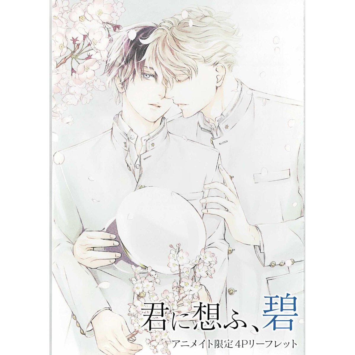 束原さき 「君に想ふ、碧」 アニメイト リーフレット 【BLグッズ】 | K